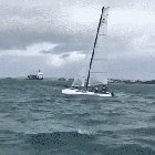 This looks fun!