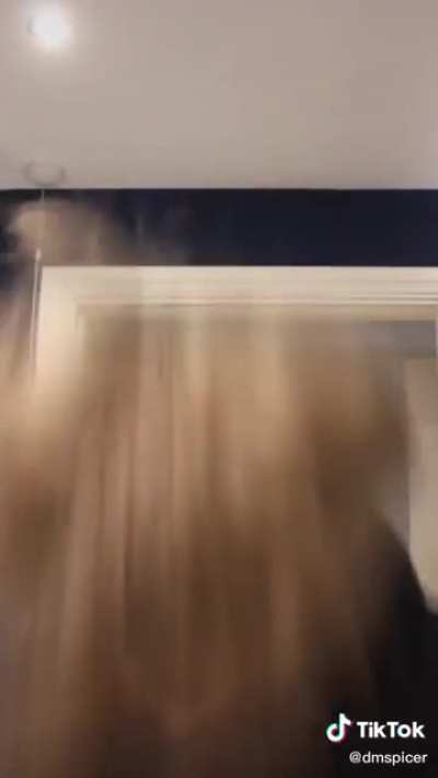 these videos