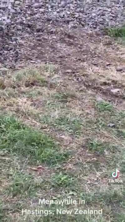 fuckin’ lost it