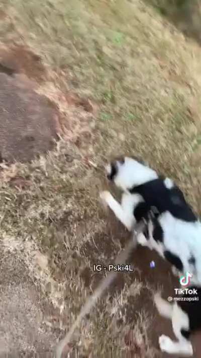 ??? ?️?️?️