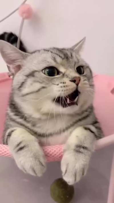 Don't touch me?