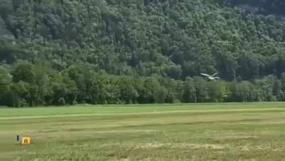Pilot manages to land safely despite losing tail control