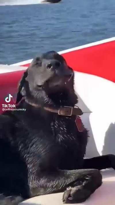 No matter how bad your day is, this is sure to make you smile