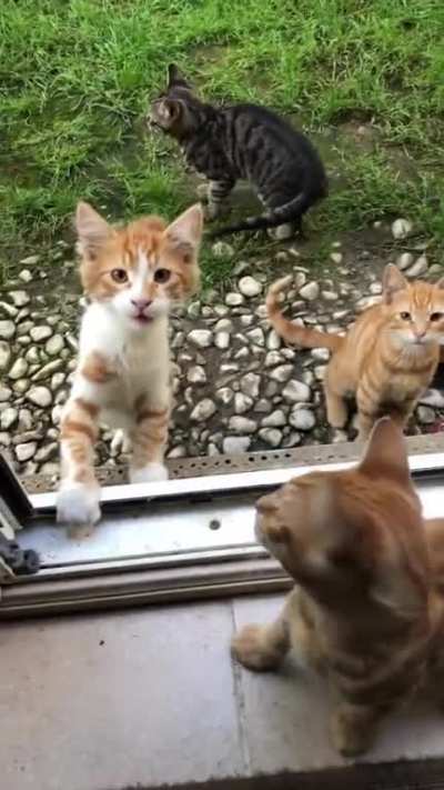 the boys are HUNGRY