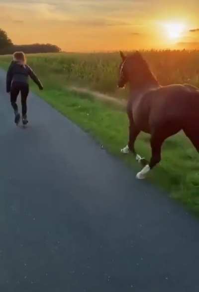 ? An evening stroll in the Netherlands with her best friends ?