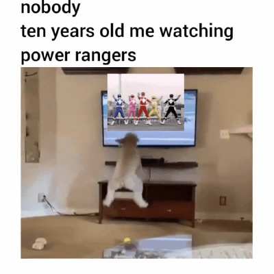 good fun days