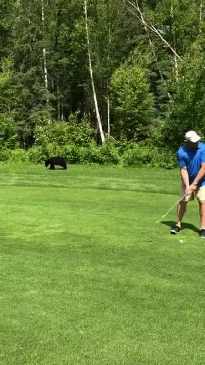 My stepdad won’t let that bear play through.