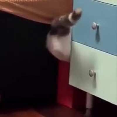 Short legs problem.. ?