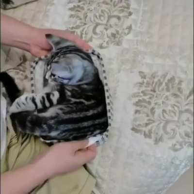 Autopacking ?