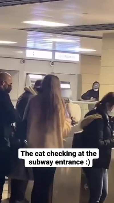 Scan please ???.