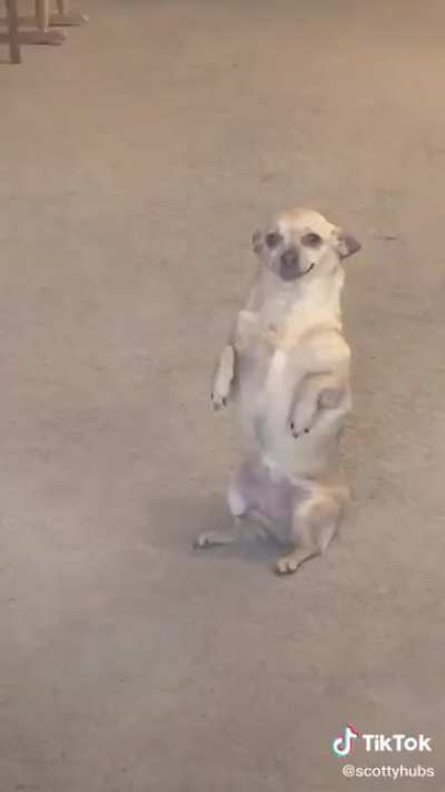 Everytime he checks the mail she waits