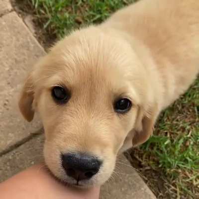 Those amazing eyes