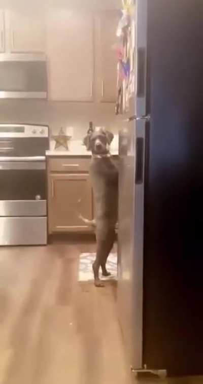 Caught red-handed?