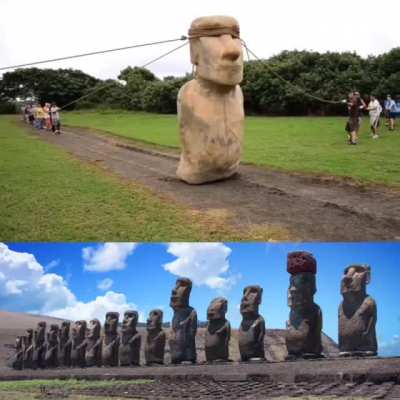 A 10-foot-tall, 5-ton moai replica "walks" as three teams maneuver strong ropes. Archaeologists led the experiment to test their theory about how the ancient Easter Island statues moved.