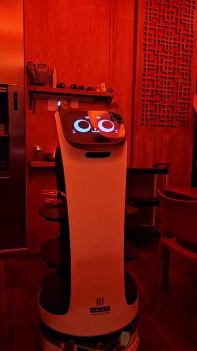 It sucks when the waiter robot spills half your wine on the way and breaks the glass in front of you ?