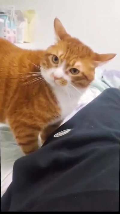 judgy much