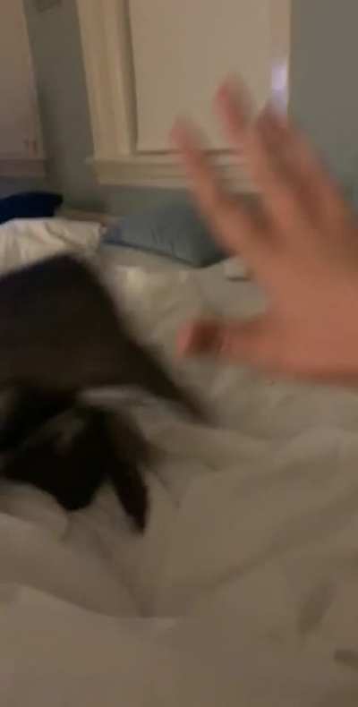 Scared for the big ol’ hand