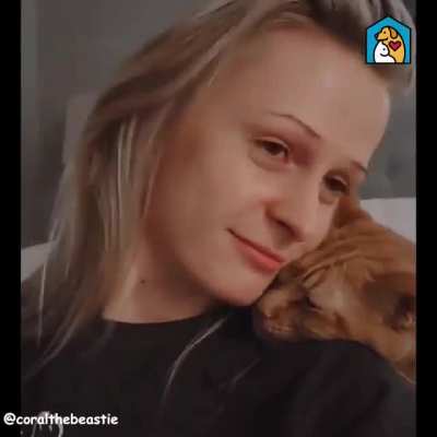 Cats have their own special way of saying "I love you"