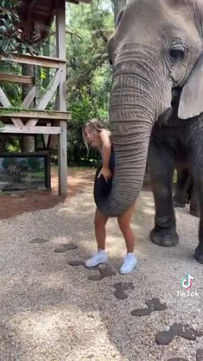We should talk about the elephant in the room.