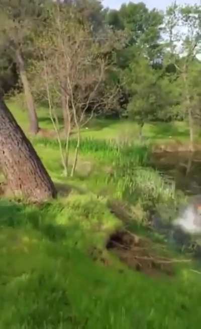 Just cutting some wood