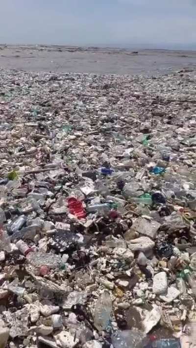 Floating garbage arrives on the coastline of Guatemala