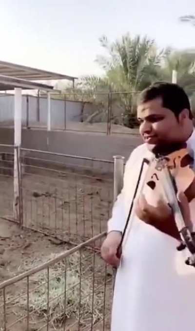 MoOoOoOoo