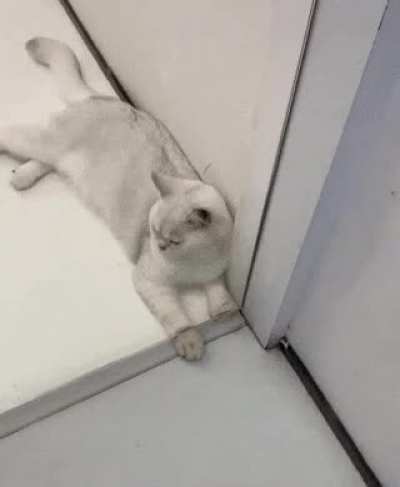 Maybe maybe maybe