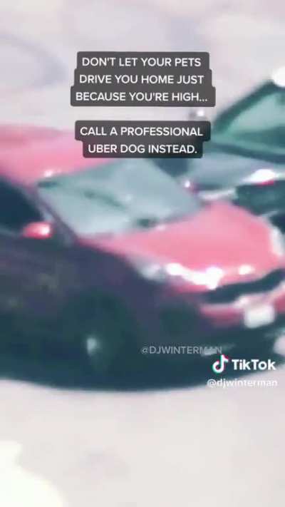 Uber Dawg... The Dawg Wit The Uber...