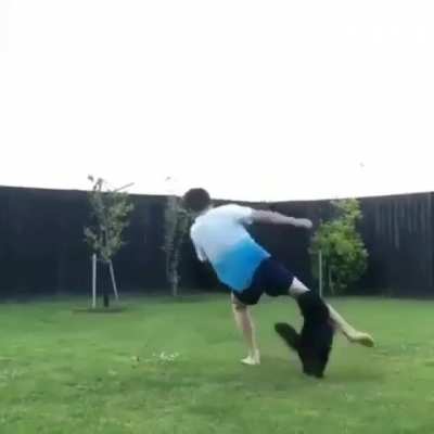 Cats are hard to impress
