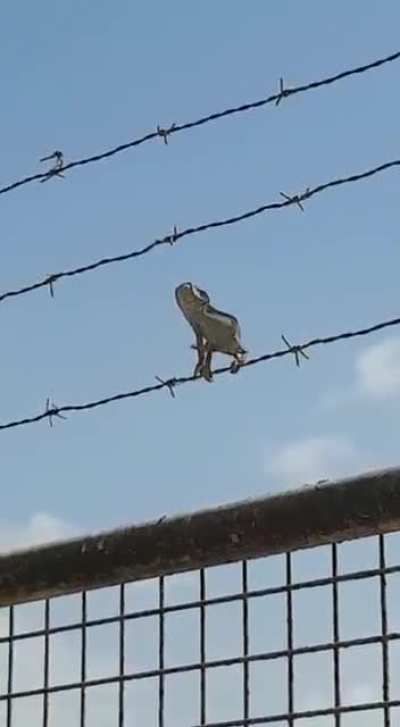Maybe maybe maybe