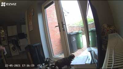Got a new bird feeder in the garden, not sure my 17 year old approves