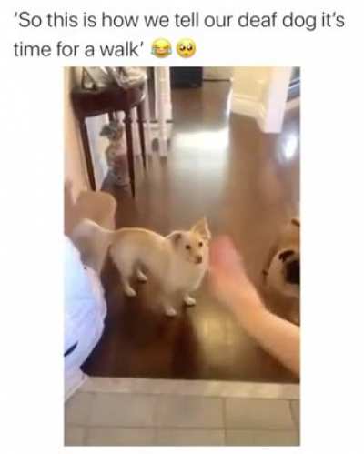 Pure joy