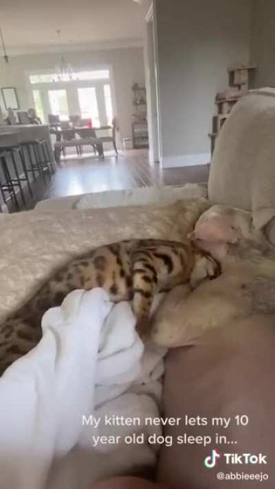 what a sweet angel