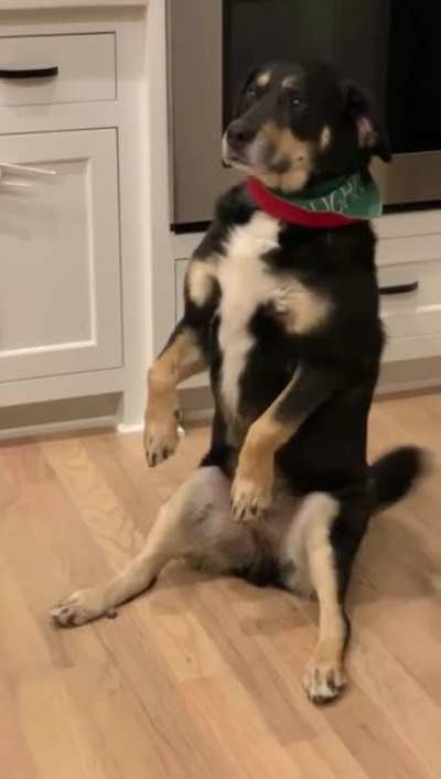 I sits.