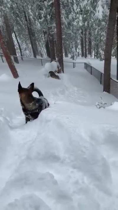 I think I can, I think I can