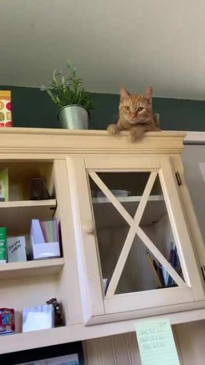 Makes sure you know it was intentional