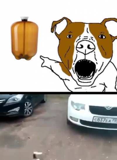 Avg dogo?