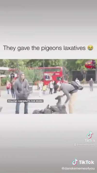 Terrorism
