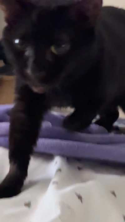 3… 2… 1… GET UP!!!
