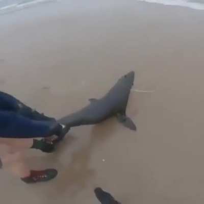 Human the worst Animal! Oh wait....