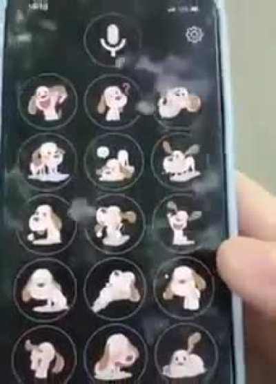 to translate a dog