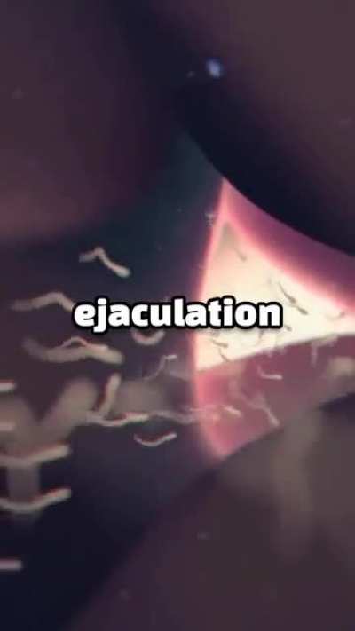 That's alot to swallow
