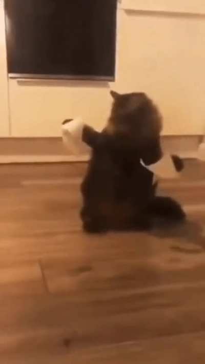 "you betrayed me, human!!"