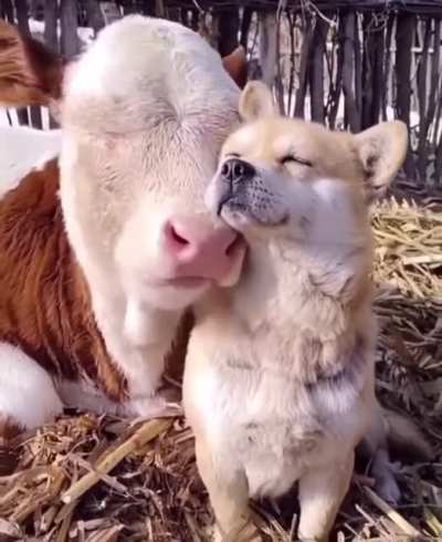 Hope your day will be just as relaxing and joyous as theirs ?