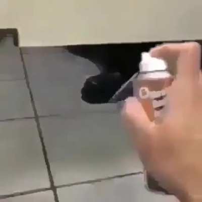 In the toilet