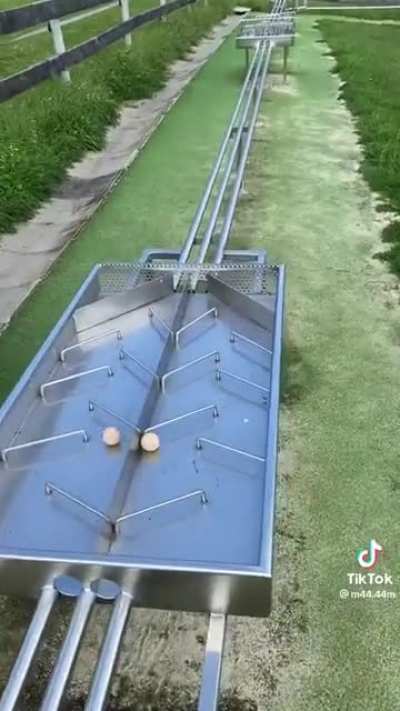 Maybe maybe maybe