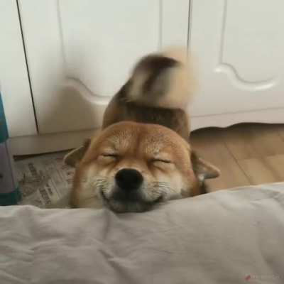 good morning! :3