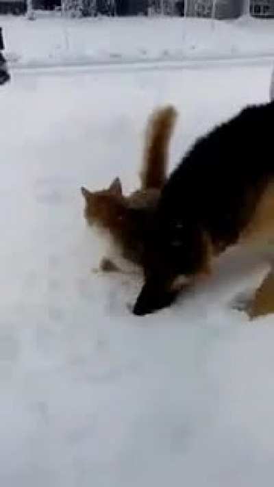 Snow big deal