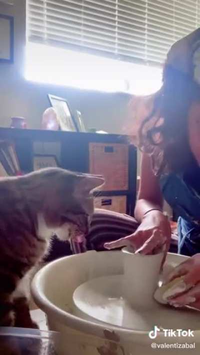 Art teacher cat shows woman how to do pottery