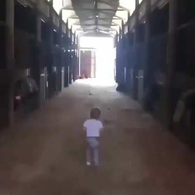 A baby kissing a horse is something I never knew I needed to see until now
